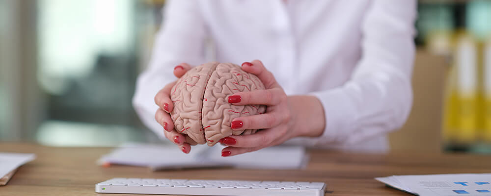 Manos de mujer agarrando un cerebro